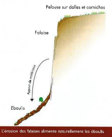 Schéma alimentation des éboulis rocheux