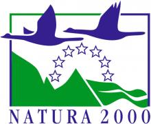 logo n2000