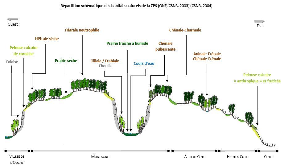 schéma habitats ZPS